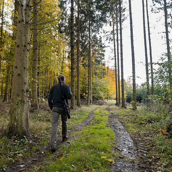 Unterwegs im Wald